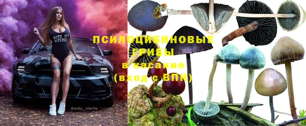 мескалин Алексеевка
