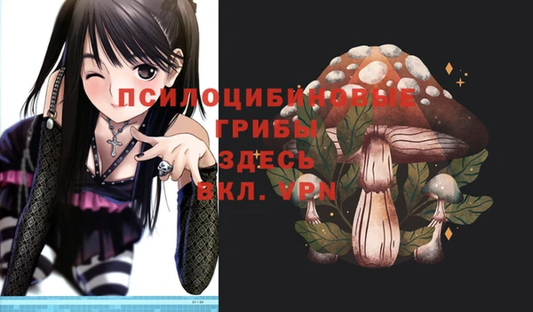2c-b Алзамай