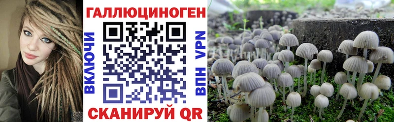Псилоцибиновые грибы прущие грибы  хочу   Котельники 