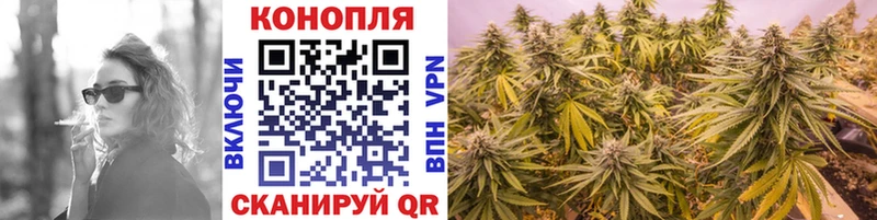 shop телеграм  Котельники  Канабис Bruce Banner 